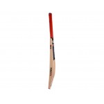 GM Purist Premier Kashmir Willow Cricket Bat